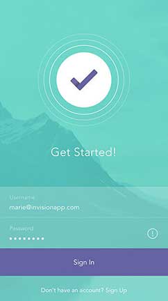 网站攻击软件工具